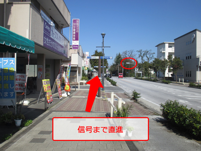 信号まで直進